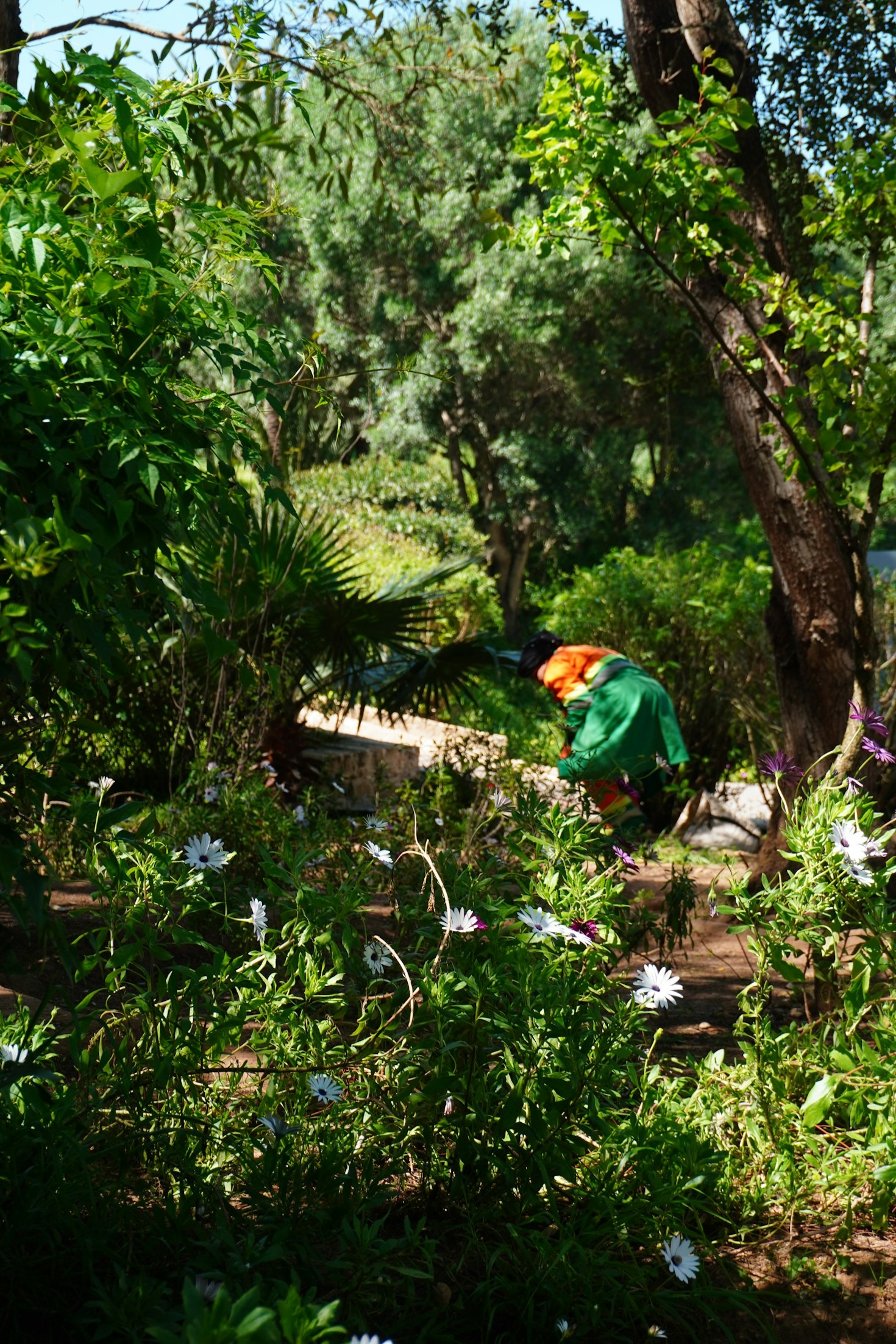 Dlaczego warto regularnie serwisować systemy nawodnienia?